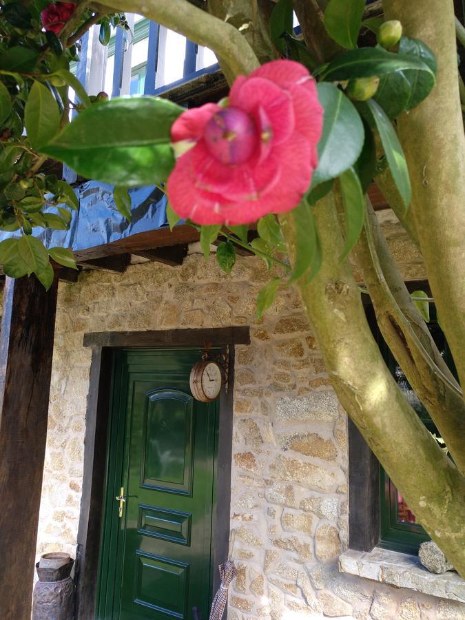 Gasthaus Mar Y Montana Ferrol Exterior foto